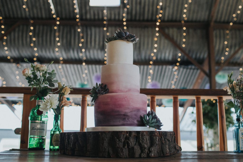 ombre cake with succulents 